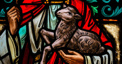 Devotional booklets to use during crisis situations