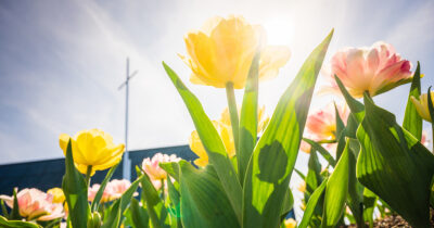 Video: An Easter devotion with President Harrison